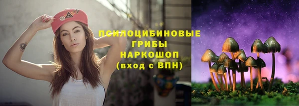 первитин Армянск