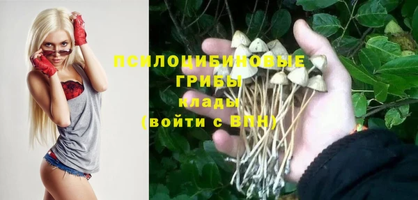 прущий лед Арсеньев
