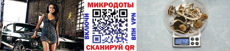 дарнет шоп  Майкоп  Галлюциногенные грибы мицелий 